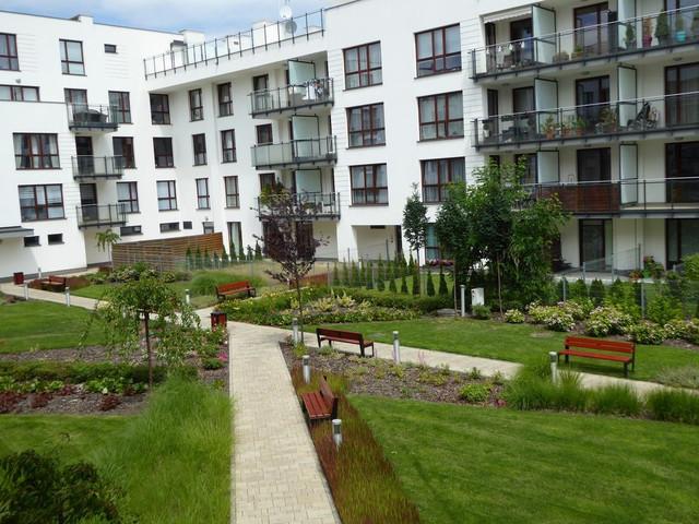 Mieszkanie do wynajęcia, mazowieckie Warszawa Wilanów Wilanów Królewski Franciszka Klimczaka, 5600 PLN, 80 m2, domy gratka 47394483