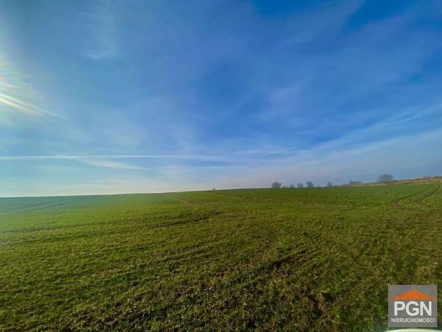 Duża zalesiona działka rolna 5460 m² w spokojnej okolicy