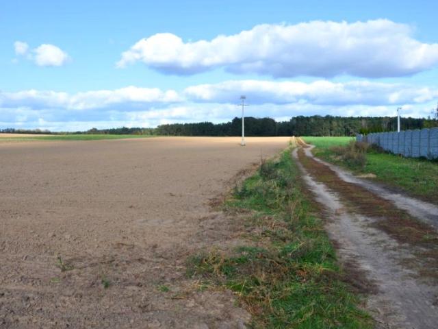 Trzcielińska 878 m², Lisówki