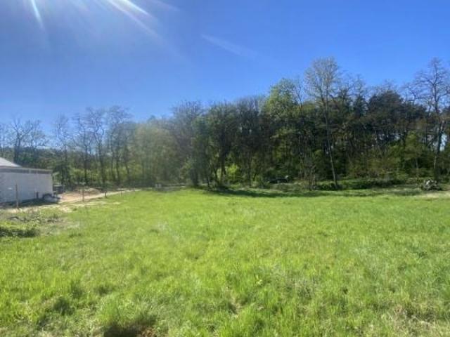 Trzebania 1 079 m², Leszno