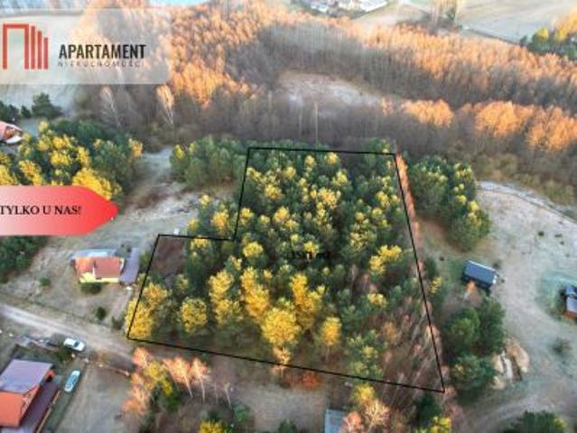 Trzebciny, 3581 m² Działka