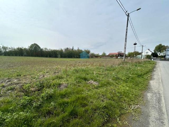 Trzemeszeńska 1 195 m², Gniezno