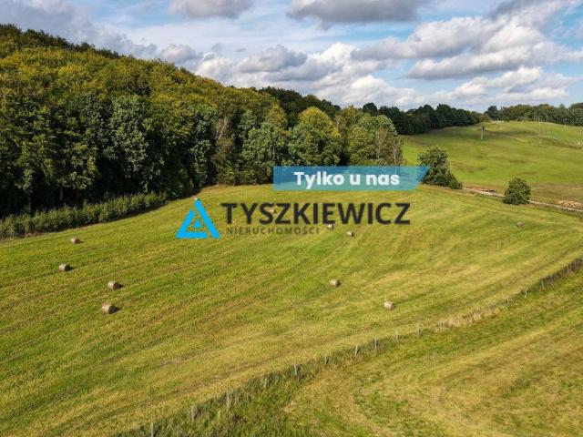 Trzepowo, Mestwina, 1 387 m2