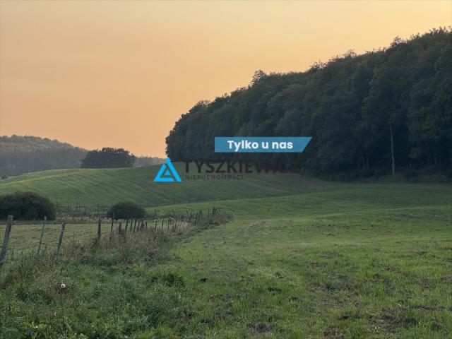 Trzepowo, Mestwina, 1 421 m2
