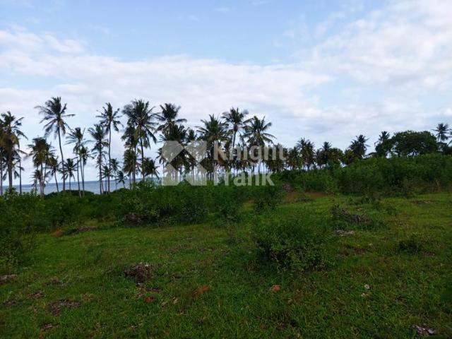Two Adjacent Vacant Plots For Sale in Kikambala