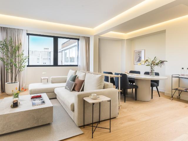 Two bedroom modern apartment
