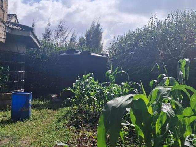 Two Houses for Sale on a 100 x 100 Plot in Kiserian