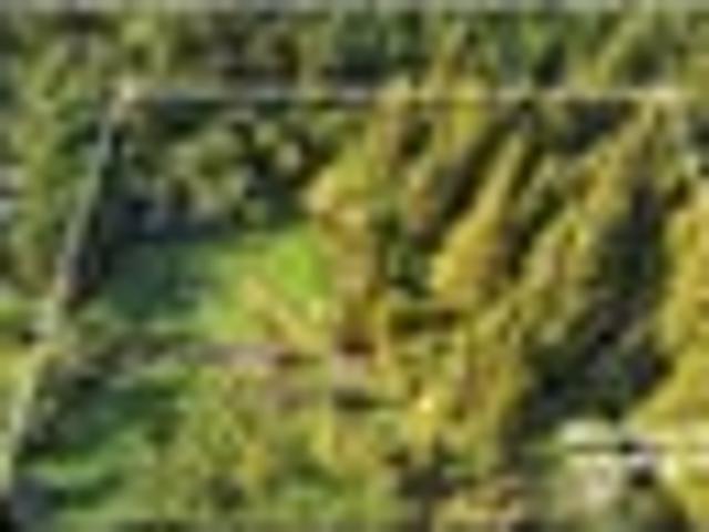 TWO HECTARES OF POTENTIAL