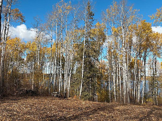 Two Lakefront Lots At Murphy Lake
