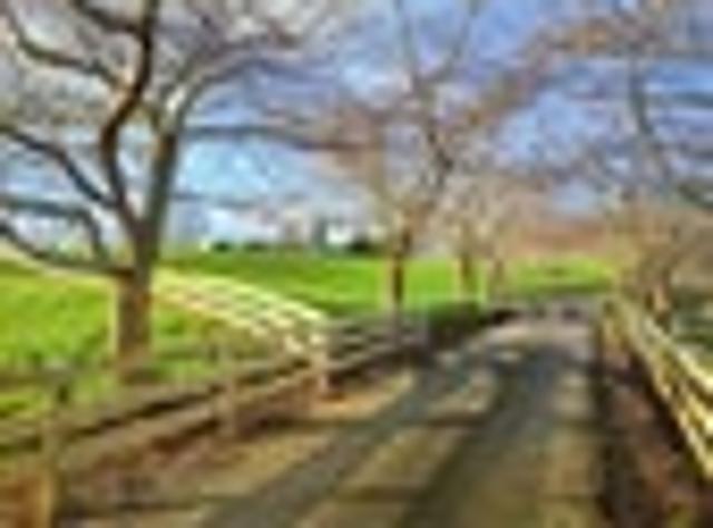 Two lifestyle lots, ready to build