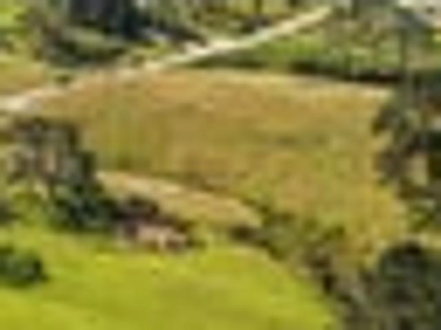Two North Facing 1ha Lifestyle Sections
