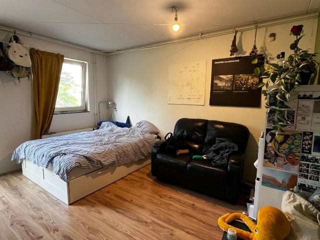 Two new roommates in Huize Wãlegda'tan