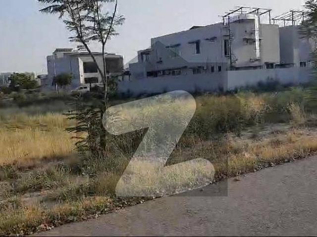 Two Side Covered Hot Location Possession Plot