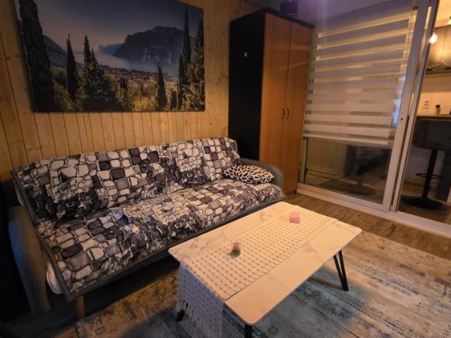 Two room apartment for rent in Cluj Napoca, located in the historic center, approximately 10 minutes from the University of Medicine and Pharmacy