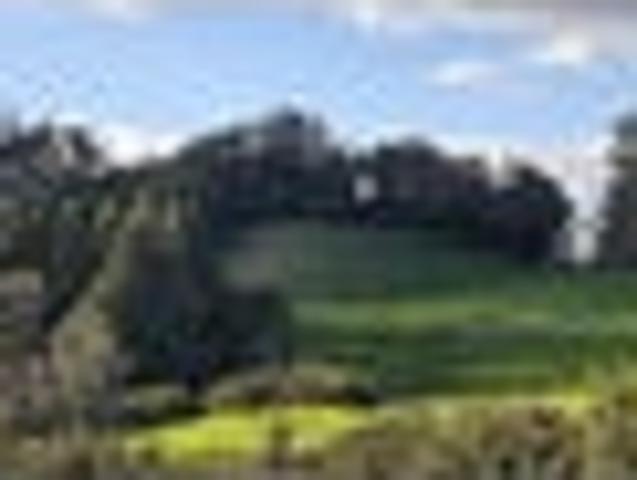 Two Rare Bare Hunua Blocks!