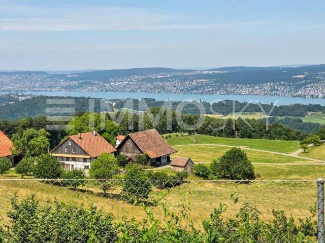 Twin house with 10 rooms on sale in Langnau am Albis 323 m² | dreamo. Ch