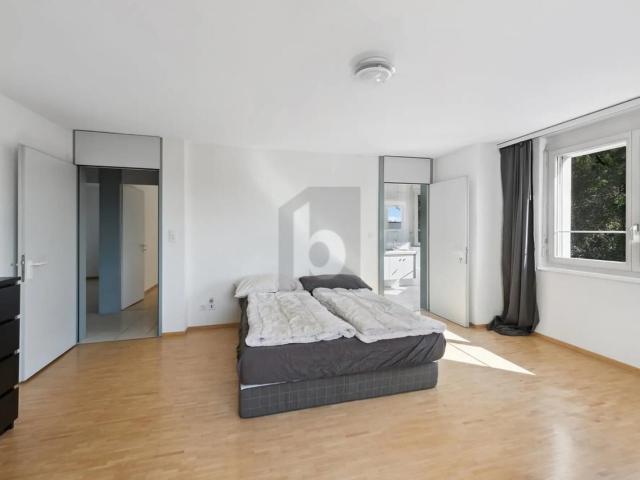 Twin house with 6.5 rooms for rent in Opfikon 220 m² | dreamo. Ch