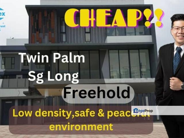 Twin Palms