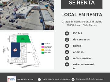 ¿Tu negocio está en el lugar correcto o solo estás sobreviviendo?