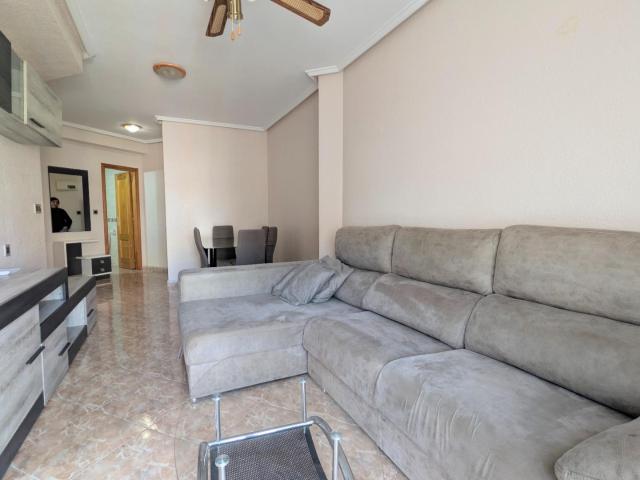 ✨ ¡TU NUEVO HOGAR EN TORREVIEJA TE ESPERA! ✨