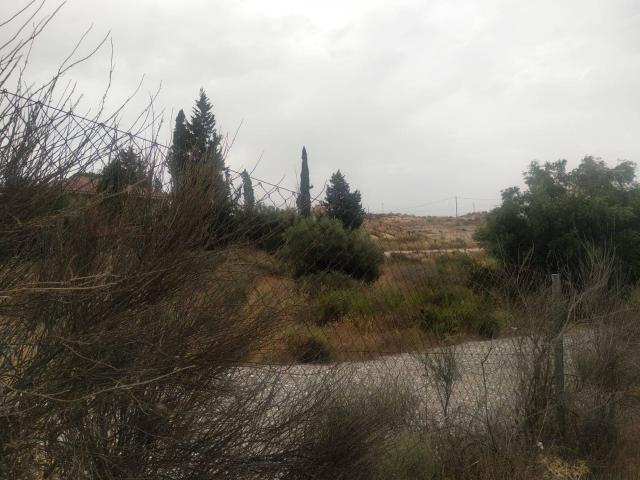 ¡Tu parcela de recreo o cultivo en La Albarda, a un paso de Murcia!