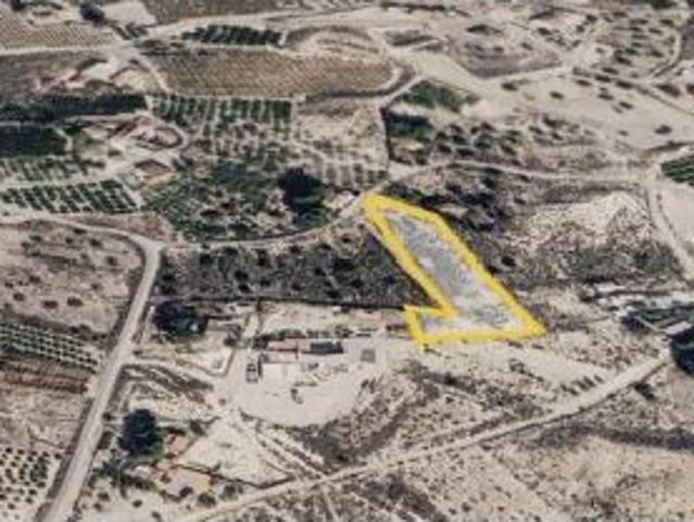 ¡Tu parcela de recreo o cultivo en La Albarda, a un paso de Murcia!