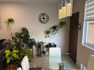Tu Próximo Estilo de Vida en el Sur: Conectividad, Diseño y Confort en Tlalpan