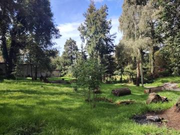 ?Tu propio refugio en el bosque! Terreno plano de 800 m? en Huitzilac