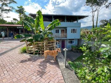 Tu Refugio Moderno en la Selva Amazónica