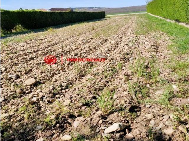 Tu Refugio Natural te Espera en la Carretera de Ibeas Arlanzón