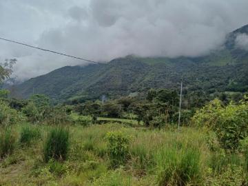 Tu refugio en la selva! Terreno en venta en Oxapampa
