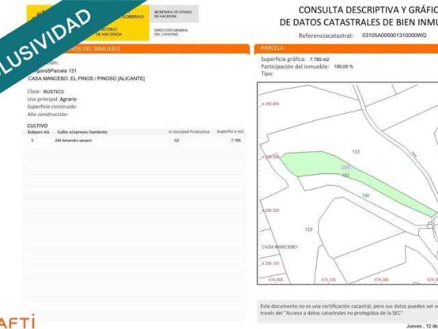 Tu rincón de tranquilidad entre Pinoso y Úbeda: naturaleza, espacio y oportunidades