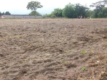 TUMBABIRO Terreno en Venta en Tumbabiro San Miguel de Urcuqui