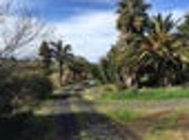 Tuakau, 4 bedrooms, $680 pw