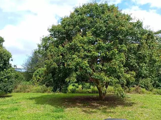 Tubuai 98754 Achat / Vente terrain