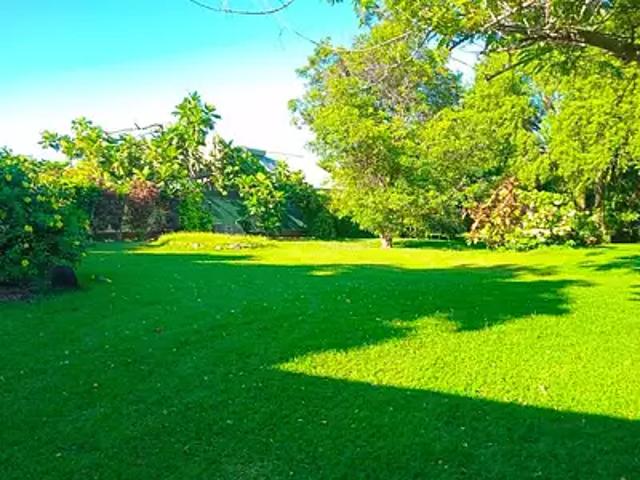 Tubuai 98754 Achat / Vente terrain