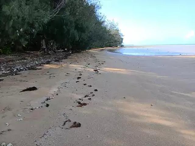 Tubuai 98754 Achat / Vente terrain