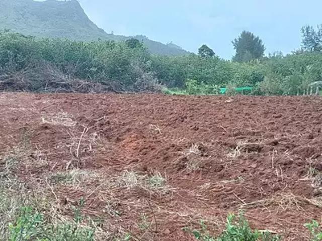 Tubuai 98754 Achat / Vente terrain