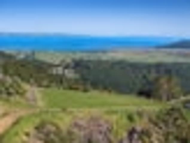 Tuhirangi Heights House & Land Packages
