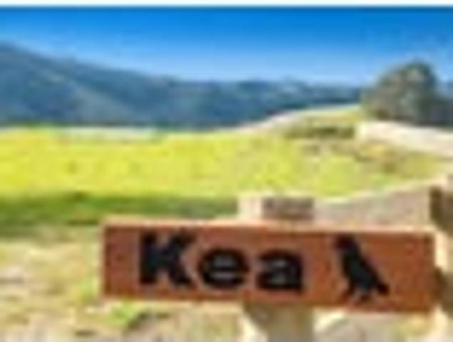 Tuhirangi Heights House & Land Packages