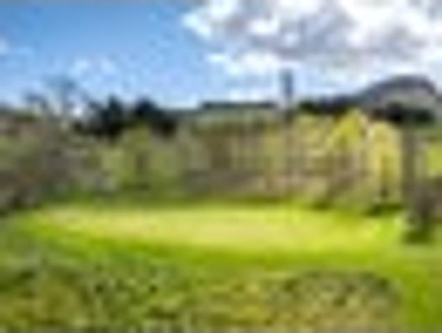 Tuki Tuki views at Euchre Farm