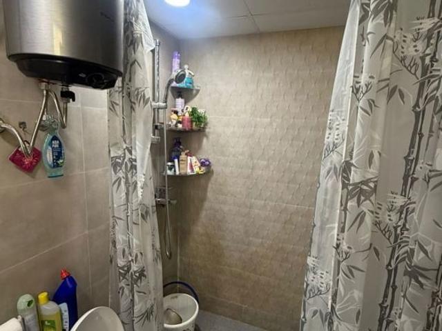 Tulip Yellow 1 Bedroom 500 Sq. Ft. Apartment in Sector 69 Gurgaon Listing ID: #10370