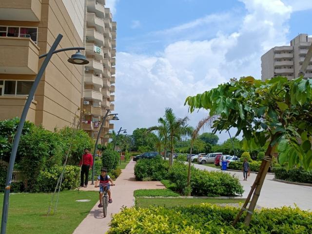 Tulip Lemon 2 Bedroom 515 Sq. Ft. Apartment in Sector 69 Gurgaon Listing ID: #9920