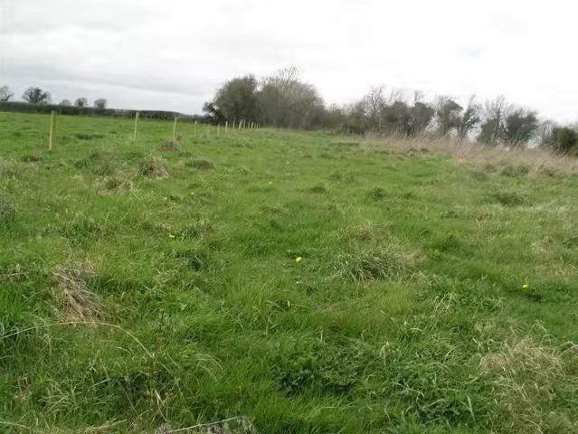 Tullacommon, Ballybrophy, Laois