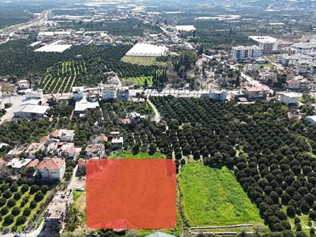 TURUNCOVA MERKEZDE İMARA YAKIN SATILIK BOŞ TARLA