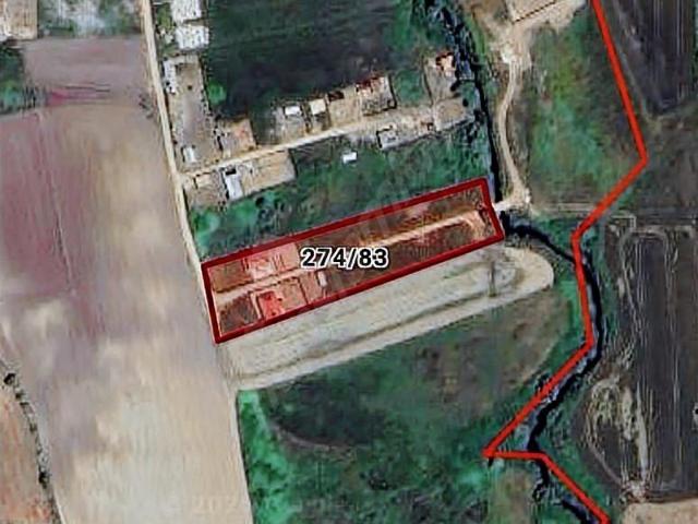 TURYAPTAN ÇATALCA KESTANELİKTE UYGUN FİYATA 1.250 M2 PARSEL