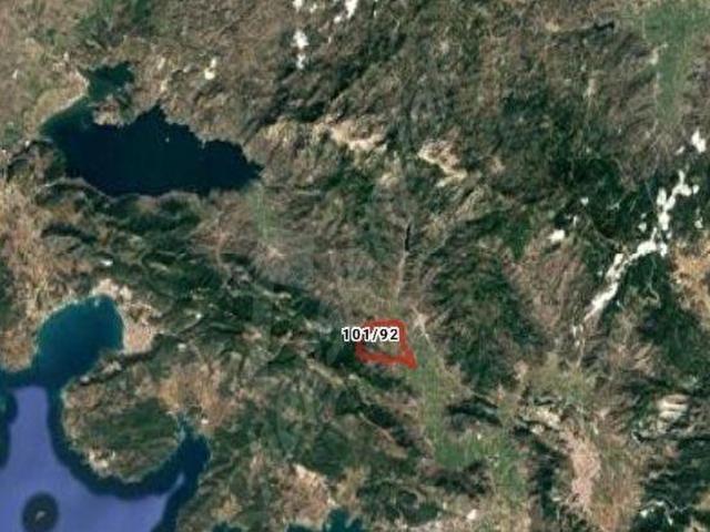 TURYAP'TAN MUĞL'A MİLAS'TA 8 DÖNÜM ZEYTİNLİK YILIN FIRSATI