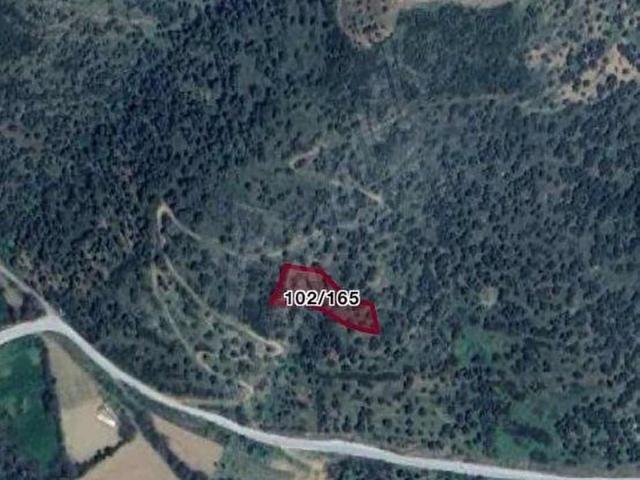 TURYAPTAN SATILIK ZEYTİNLİK TİRE YENİŞEHİR KÖYÜ