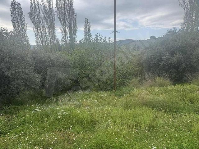 TURYAPTAN SATILIK AKÇAŞEHİR KÖYÜNDE DOĞAYLA İÇ İÇE ÖZEL ARSA