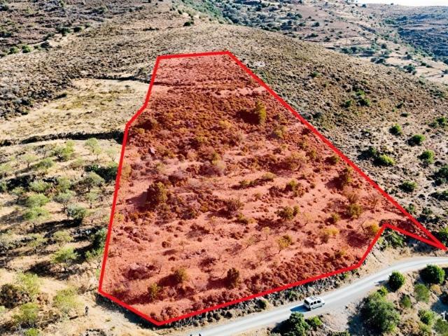 TURYAP FNS'DEN YAZIKÖYDE 2 PARÇA TOPLAM 6593 M SATILIK TARLA